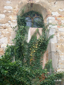 Kirche Webau Kirche Webau